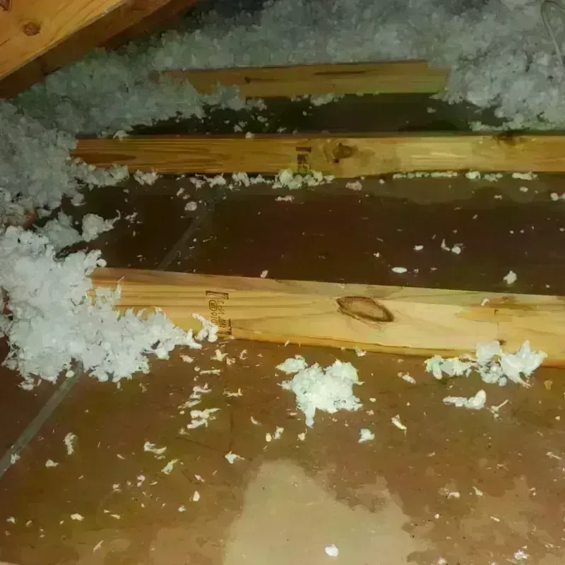 Attic Water Damage in Wanchese, NC