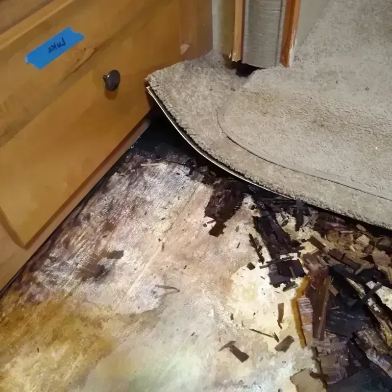 Wood Floor Water Damage in Wanchese, NC